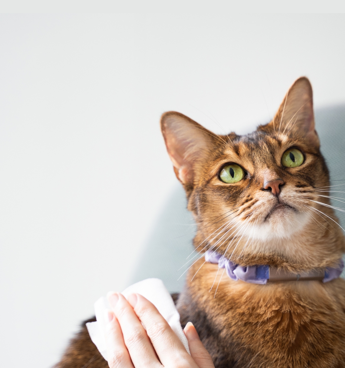 ジェームズ・ミャーティン