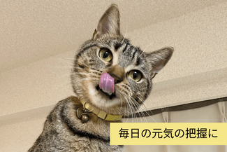 Elimination Monitoring