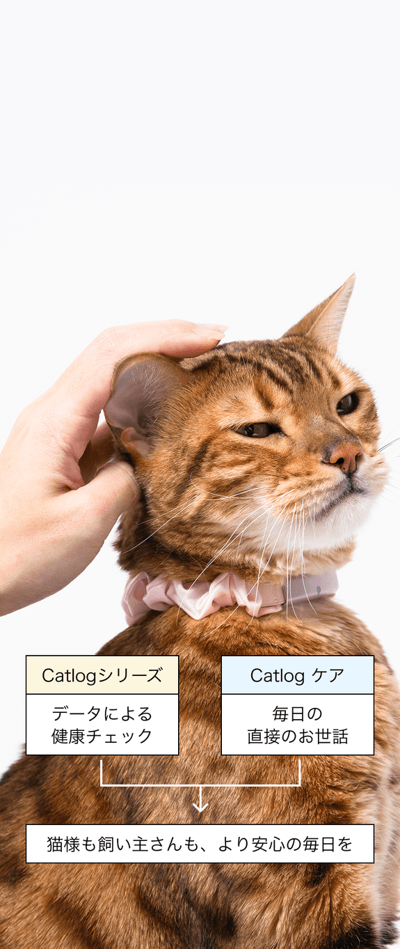 Catlogでのケア